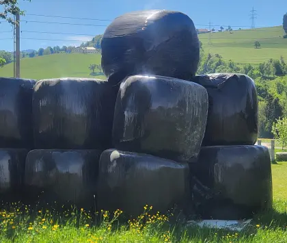 Pferdeheu 1. Schnitt und Grummet, Silageballen