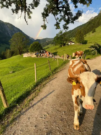 Almhütte zu vermieten