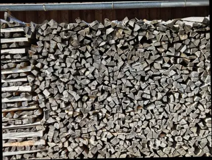 Brennholz