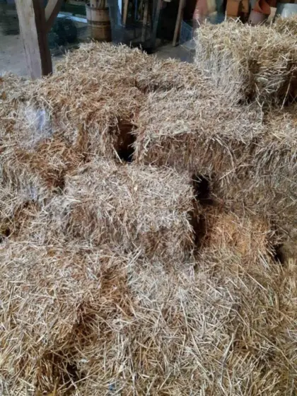 Stroh Kleinballen