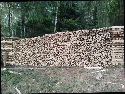 Brennholz hart (Buche, Eiche, Ahorn) gemischt