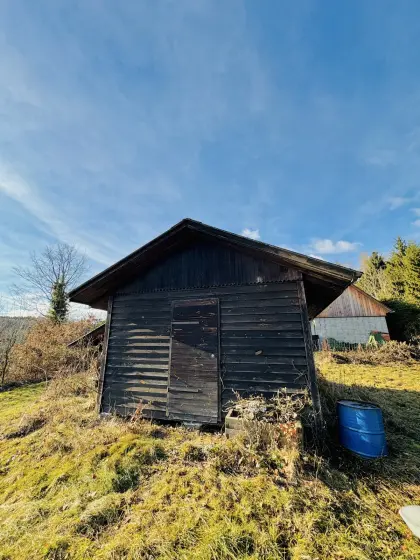 Holzhütte mit Ofen gratis, muss weg (Selbstabbau)