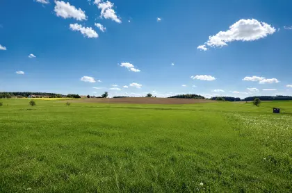 Kleines Naturgrundstück am Bachlauf