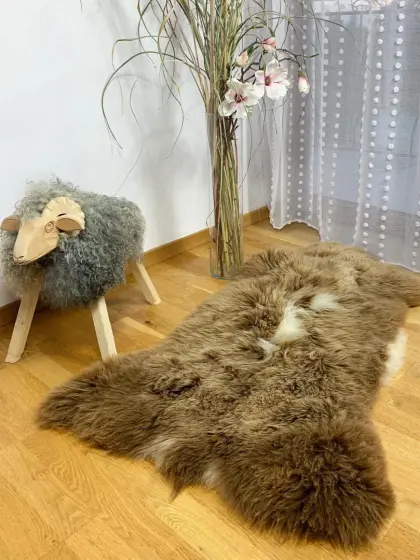Holländisches Schaffell, Texel, traumhafte Locken