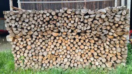 Brennholz Fichte, trocken