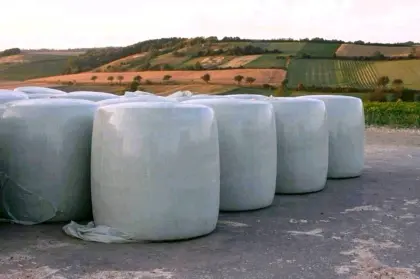 Silomaisballen