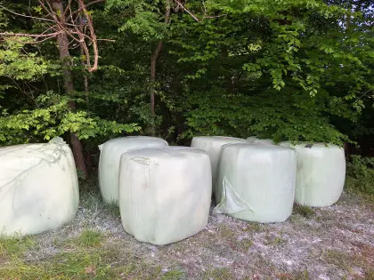 Silorundballen, Silageballen