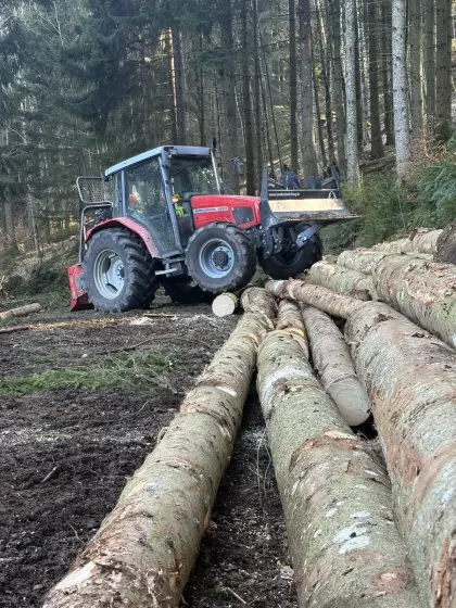 Holzschlägerung