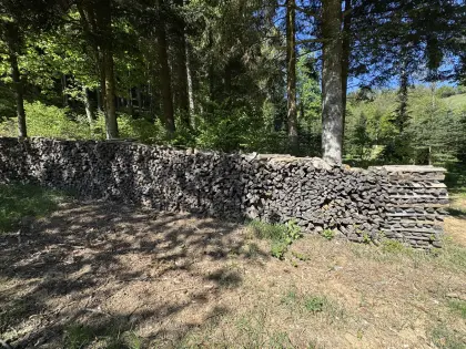 Brennholz Esche