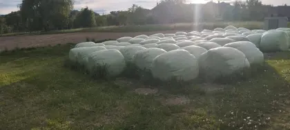Silageballen
