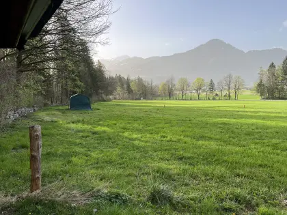 Verpachte 5.500 m² Freiland nur für Spezialkulturen