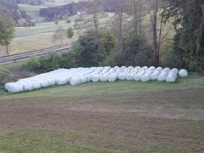 Maisballen