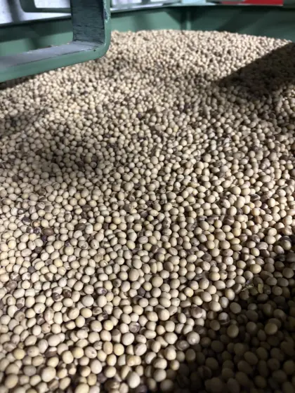 Bio-Soja