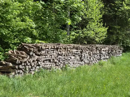 Verkaufe Brennholz Fichte, Tanne, Buche, Esche, Erle