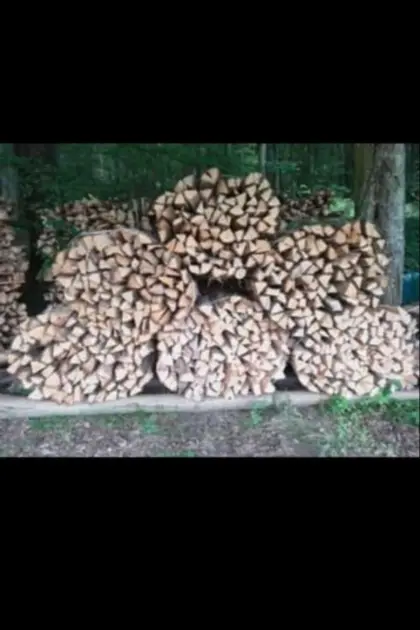 Brennholz