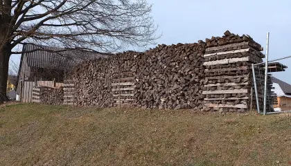 Brennholz