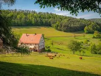 Bauernhaus, kleiner Bauernhof zur Miete gesucht