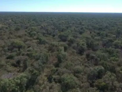 Investitionsmöglichkeit im paraguayischen Chaco, 1.891 ha