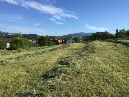 1,5 ha Grünland in Puch bei Weiz, für Mahd