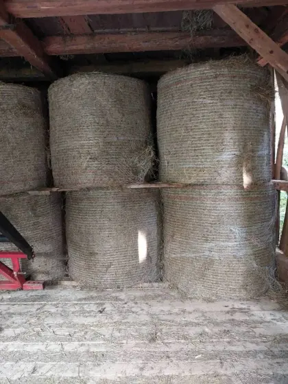 Heu, Grumet, Kleinballen und Rundballen
