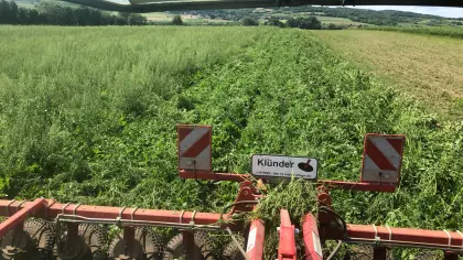 Klünder Unkrautzupfer