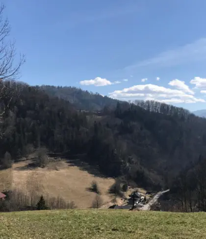 Wald 6,9 ha