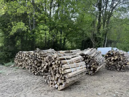 Holzbündel