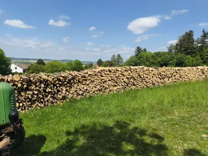 Brennholz, vorwiegend Linde, ofenfertig, 2 Jahre getrocknet