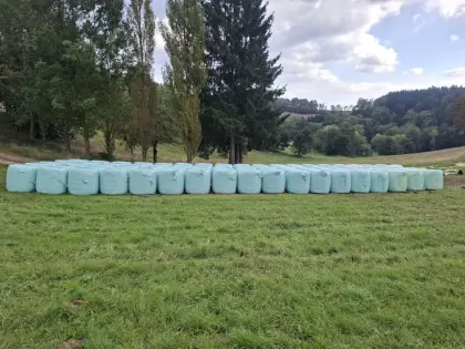 Bio-Maisballen zu verkaufen