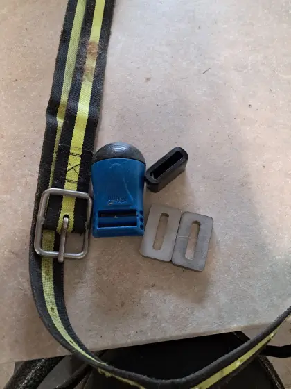 SenseHub Allflex Brunsterkennung