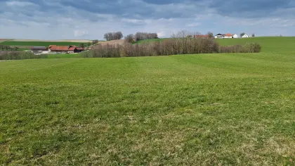 Ca. 2 ha landwirtschaftlicher Nutzgrund, Wiese mit Wald
