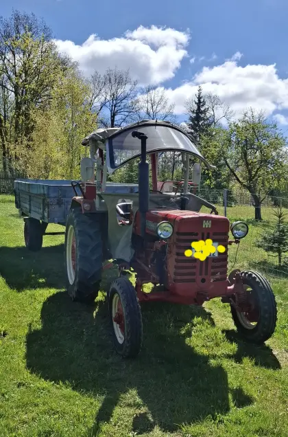 McCormick D432
