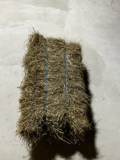 Heu Kleinballen, Eckballen, Heuballen