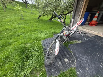 Beta Evo 290 ccm, Bj. 2011