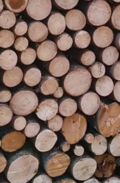 Stammholz, Brennholz