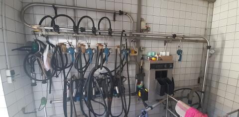Melkanlage Milchviehbetrieb Alfa Laval