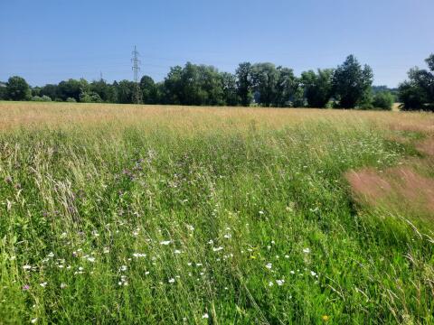 Heuballen klein