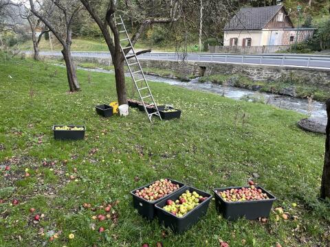 Apfelsaft naturtrüb