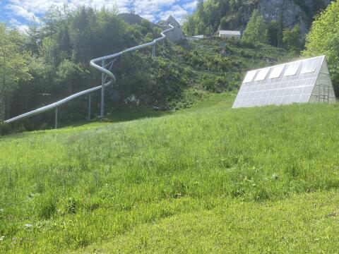 Gras zum Selbermähen