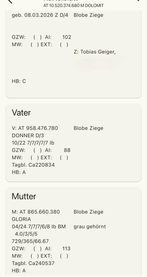 Blobe Kitzbock HB-fähig