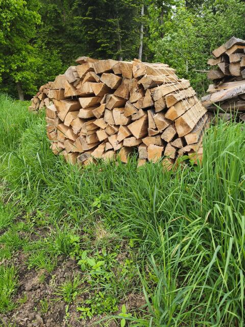 Brennholz 1 m Scheite