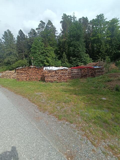Weiches Brennholz