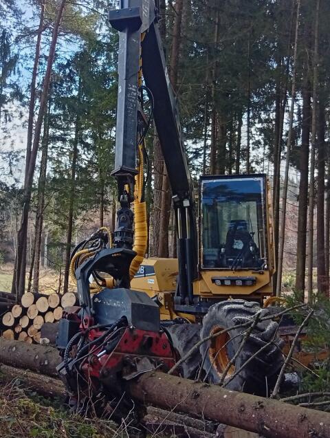 Suche Harvester Ecolog Cat Skogsjan