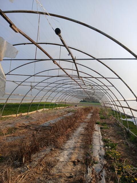 Folientunnel 48 x 8 m