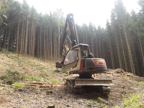 Neuson 11002 HVT und Empl Tiefbetttieflader