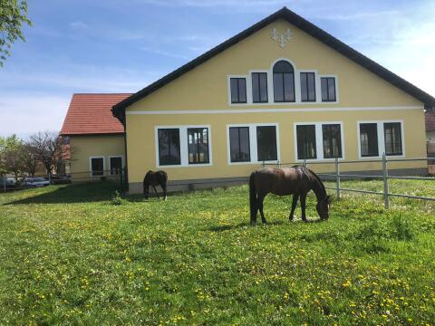 2 freie Außenboxen am historischen Gutshof Lilienhof