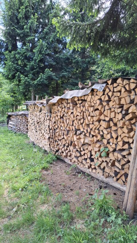 Brennholz