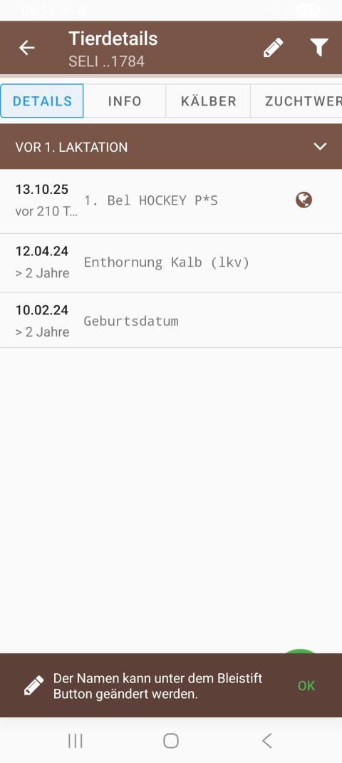 Trächtige Kalbin