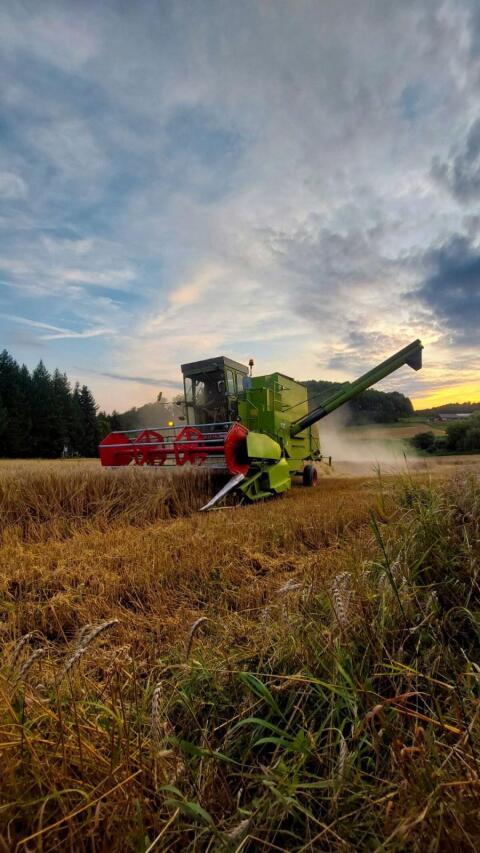 Claas Dominator 85