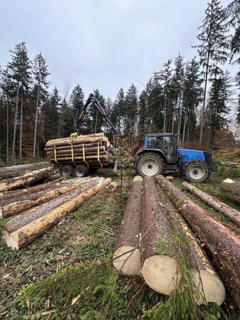 Holzschlägerung und Bringung
